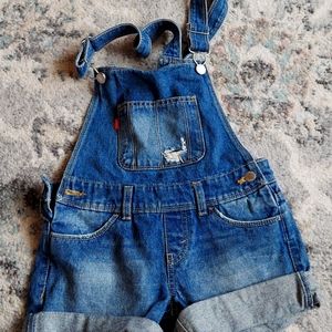 Levi overalls